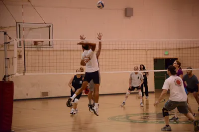 DSC_1846 (Large).JPG